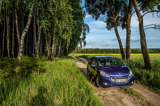 auto Peugeot v přírodě